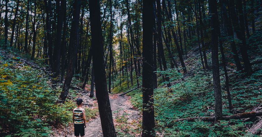 boy walking under trees