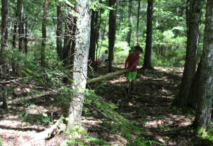 children playing in woods