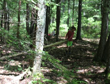 children playing in woods