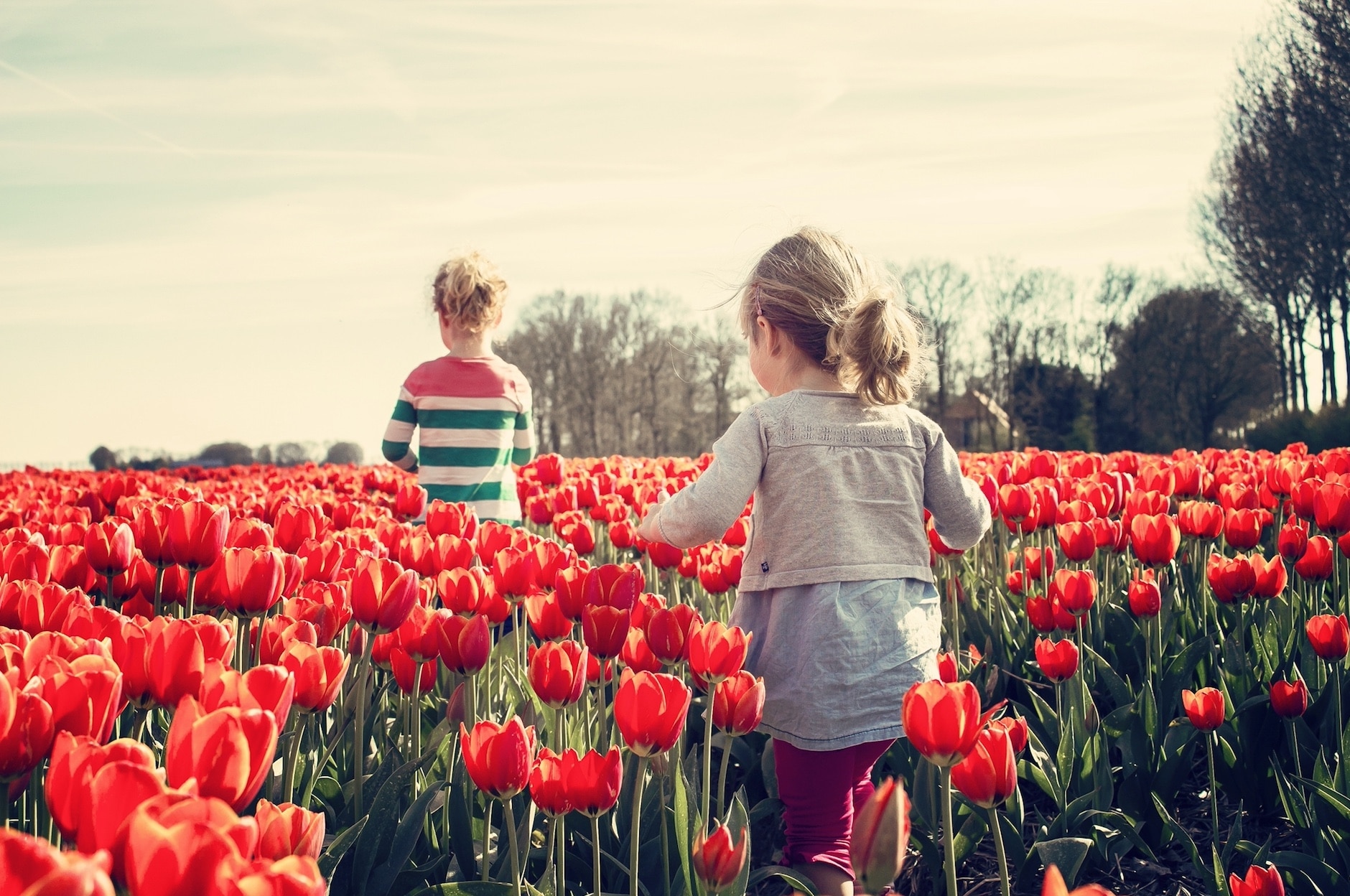 children running through flowers