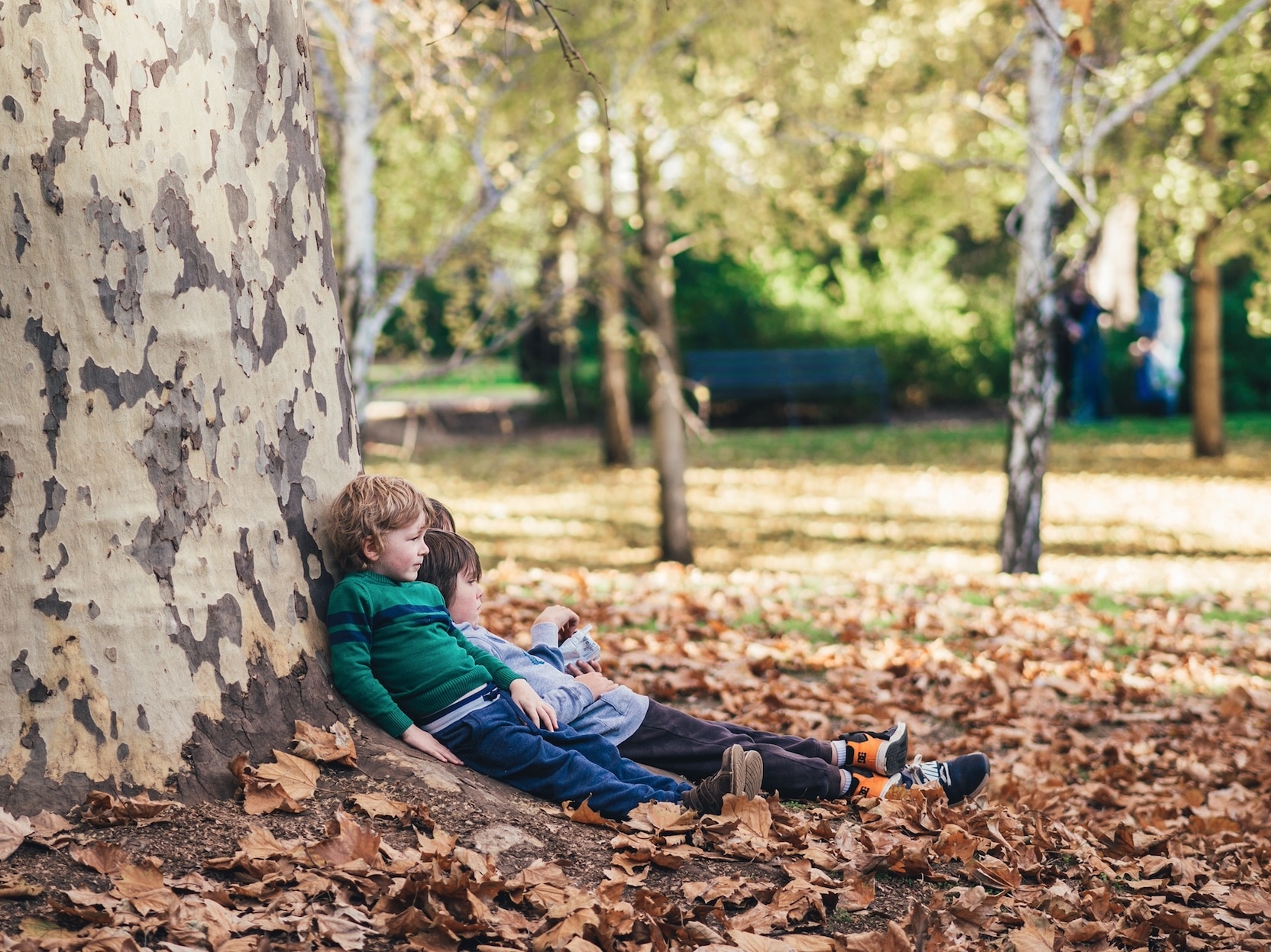 children leaning against tree outside