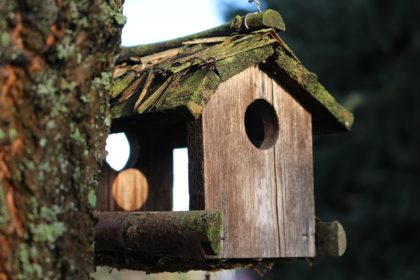 birdhouse