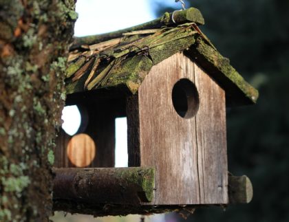 birdhouse