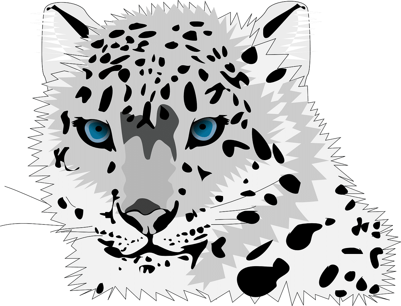 snow leopard