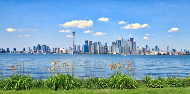 city skyline with nature