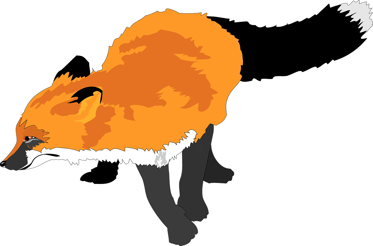 fox