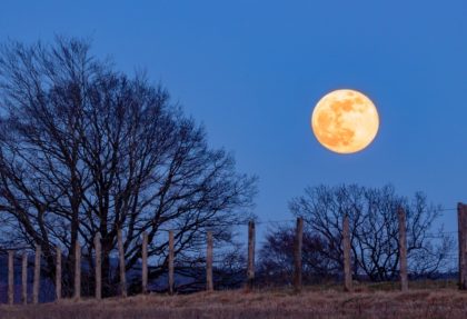 full moon outside