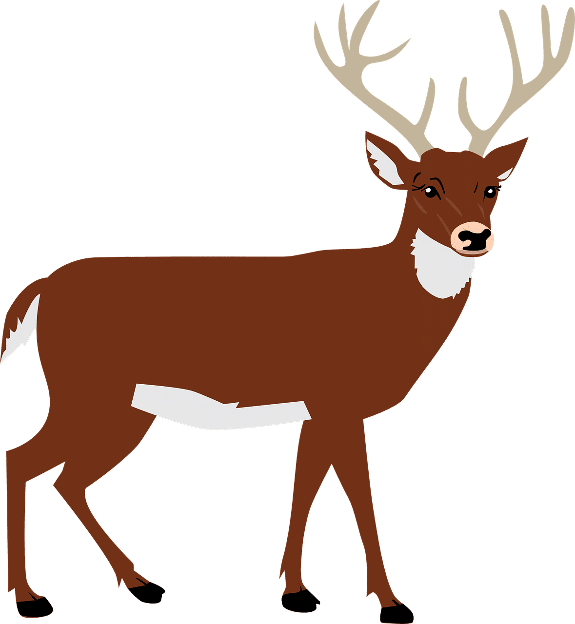 deer
