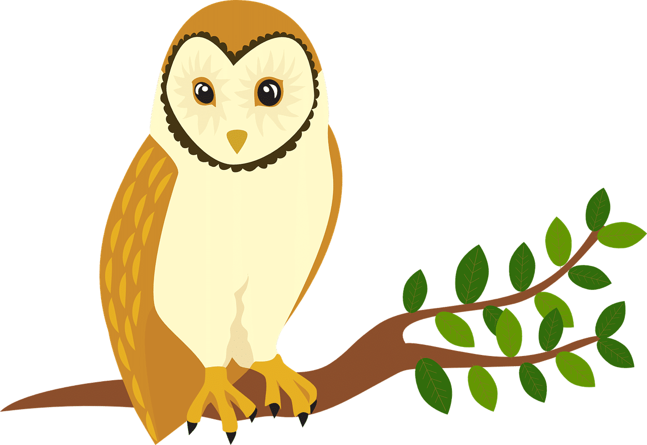 owl