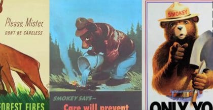 smokey the bear junior park ranger