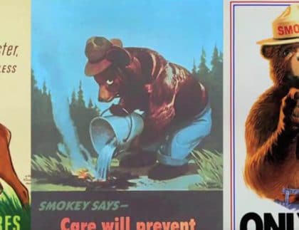 smokey the bear junior park ranger