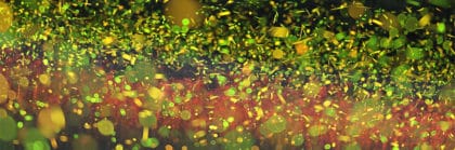 fireflies