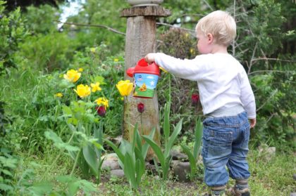 toddler in garden
