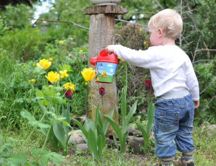 toddler in garden