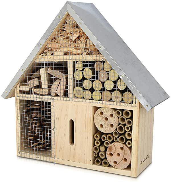 insect house