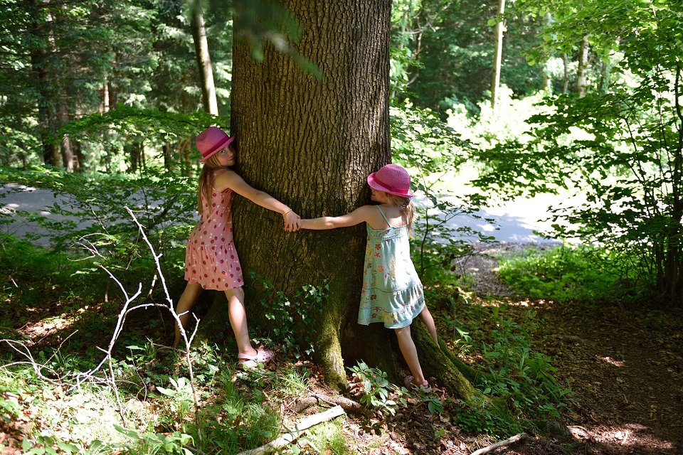 children hugging tree outdoors