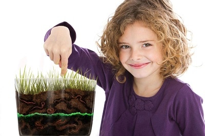 worm farm for nature learning