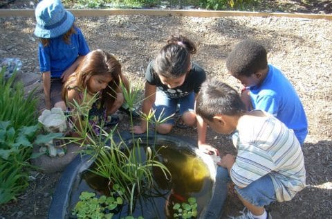 kids gardening