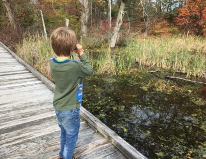 child birding