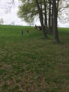 boys running in park