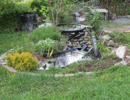 backyard pond for wildlife