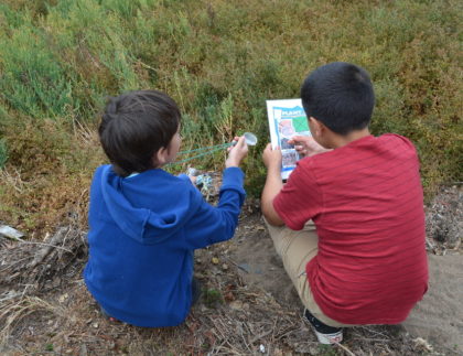 Boys playing nature bingo