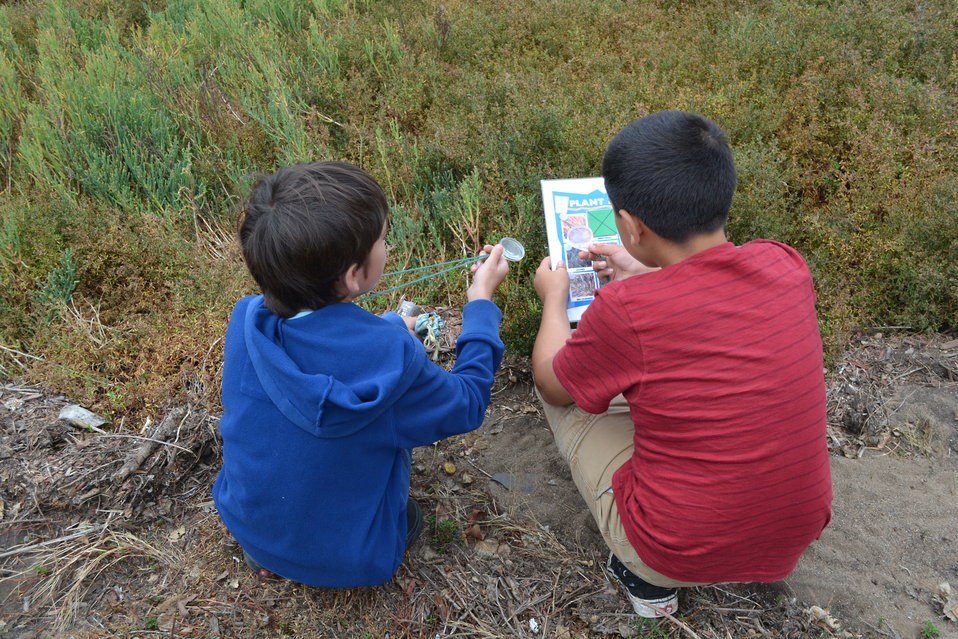 Boys playing nature bingo