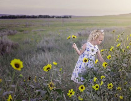 child in sunflower field