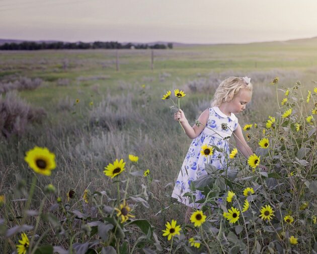 child in sunflower field