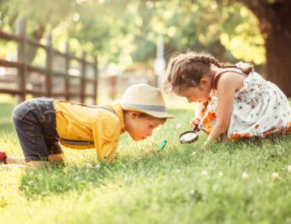 children exploring nature