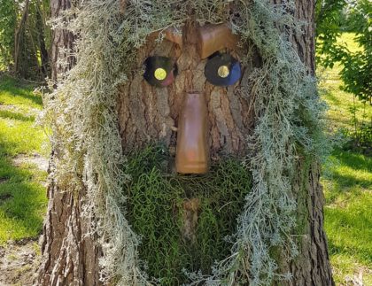 tree face