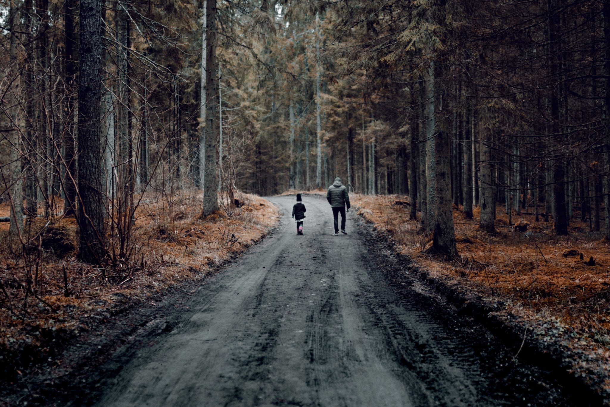 two-people-walking-on-road-between-trees-3708444