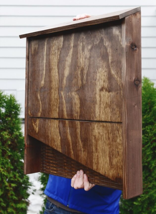 Build a Better Bat House Childhood By Nature