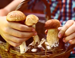 child holding mushrooms