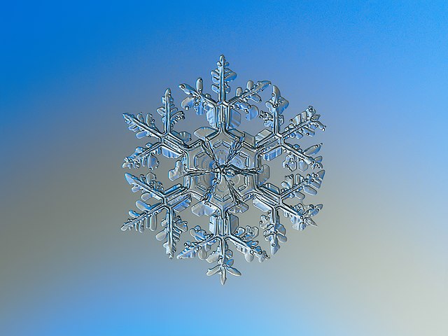 snowflake macro