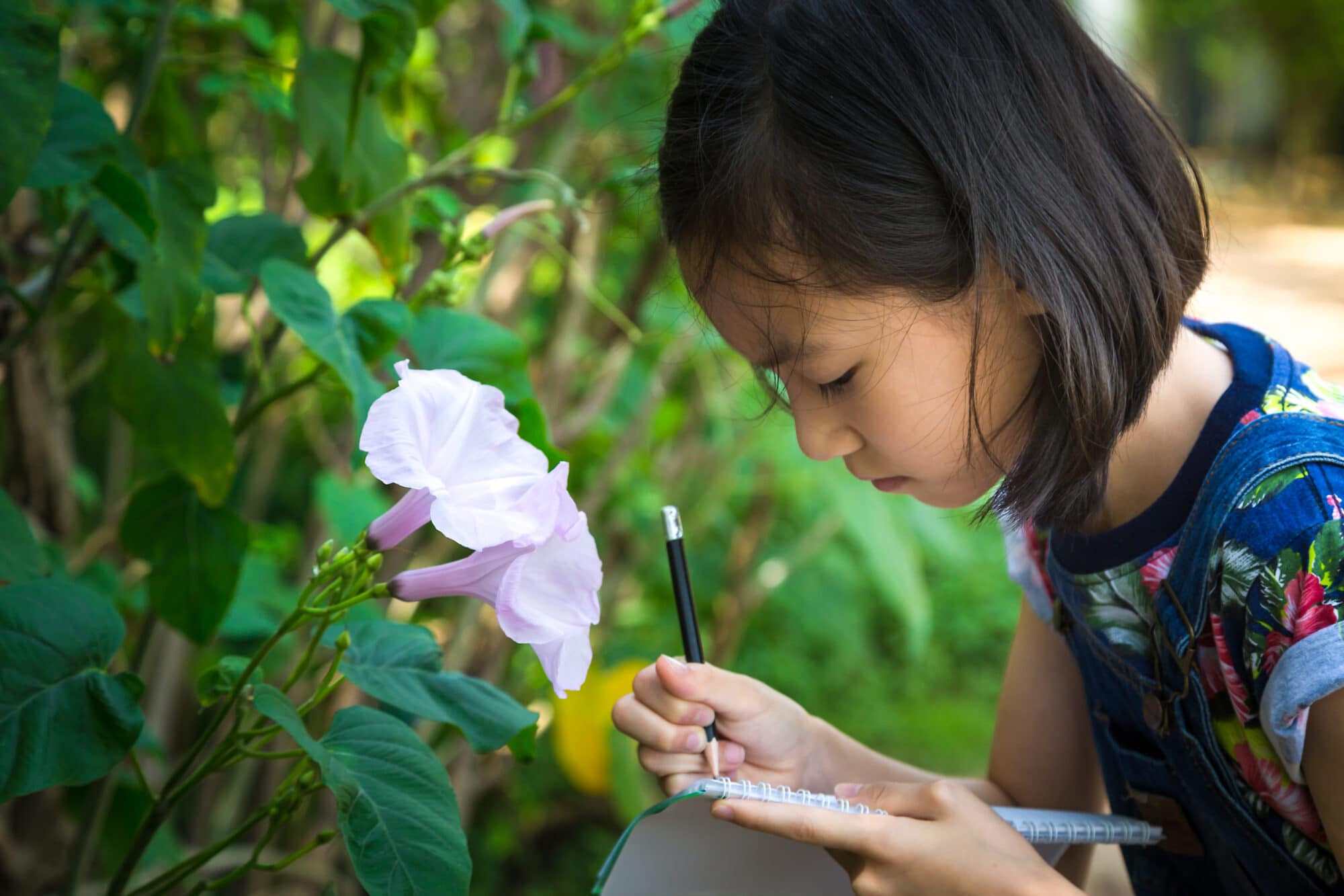 girl learning outdoors