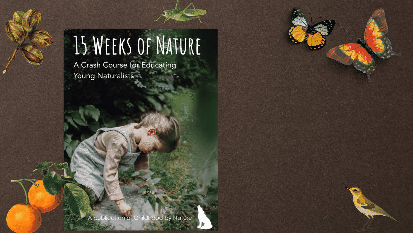15 Weeks of Nature e-Book
