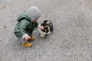 child petting cat