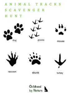 Animal-Tracks-Scavenger-Hunt