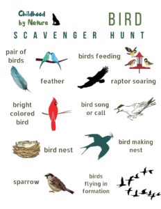 Bird-Scavenger-Hunt