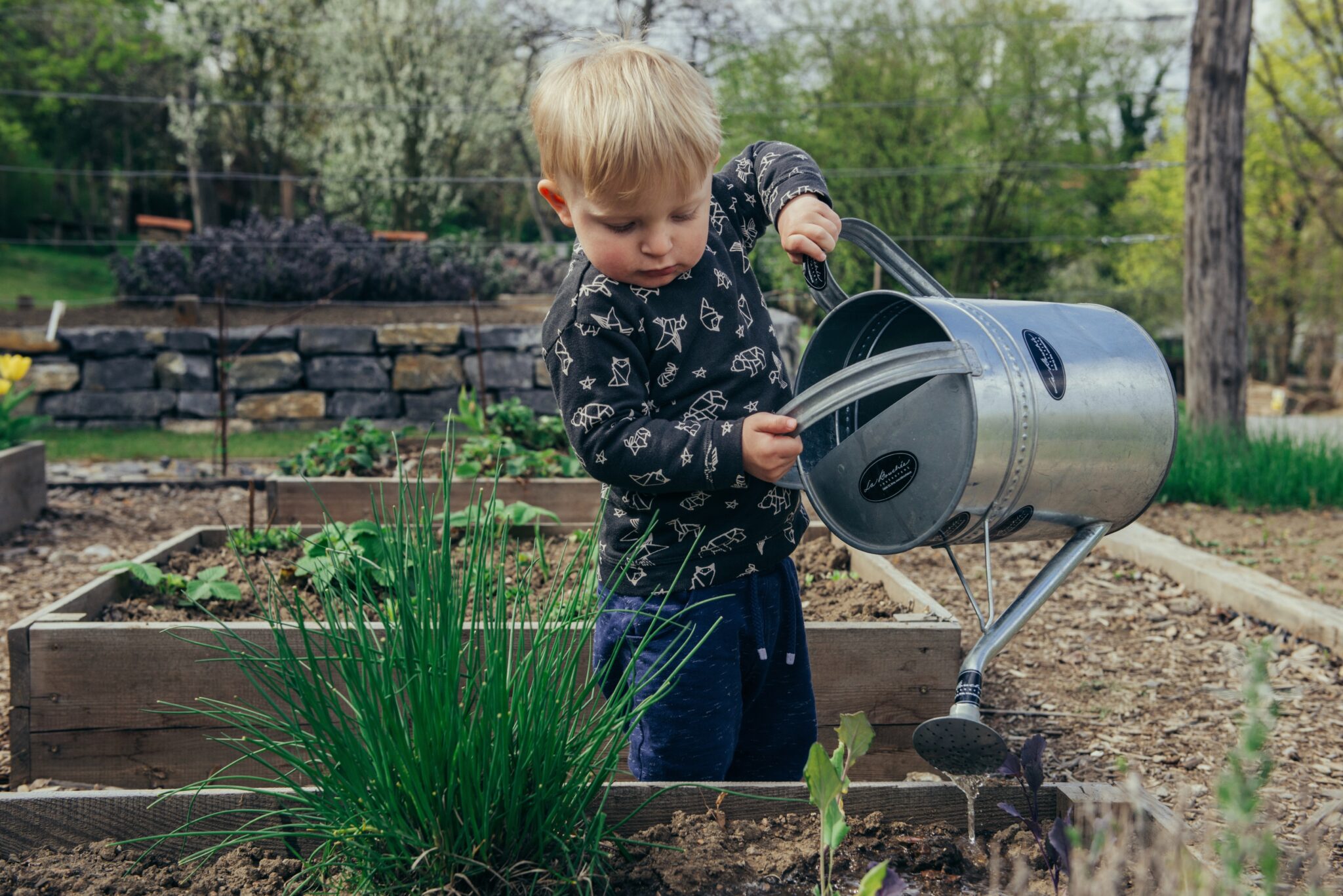 young boy watering plants in garden
