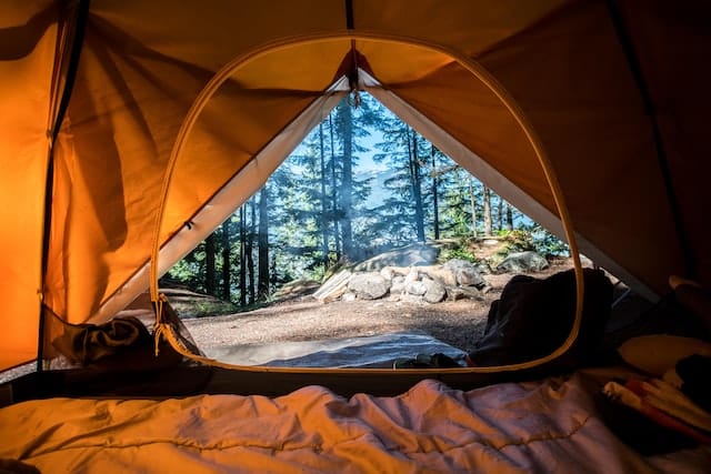 opening of a tent with a view of trees